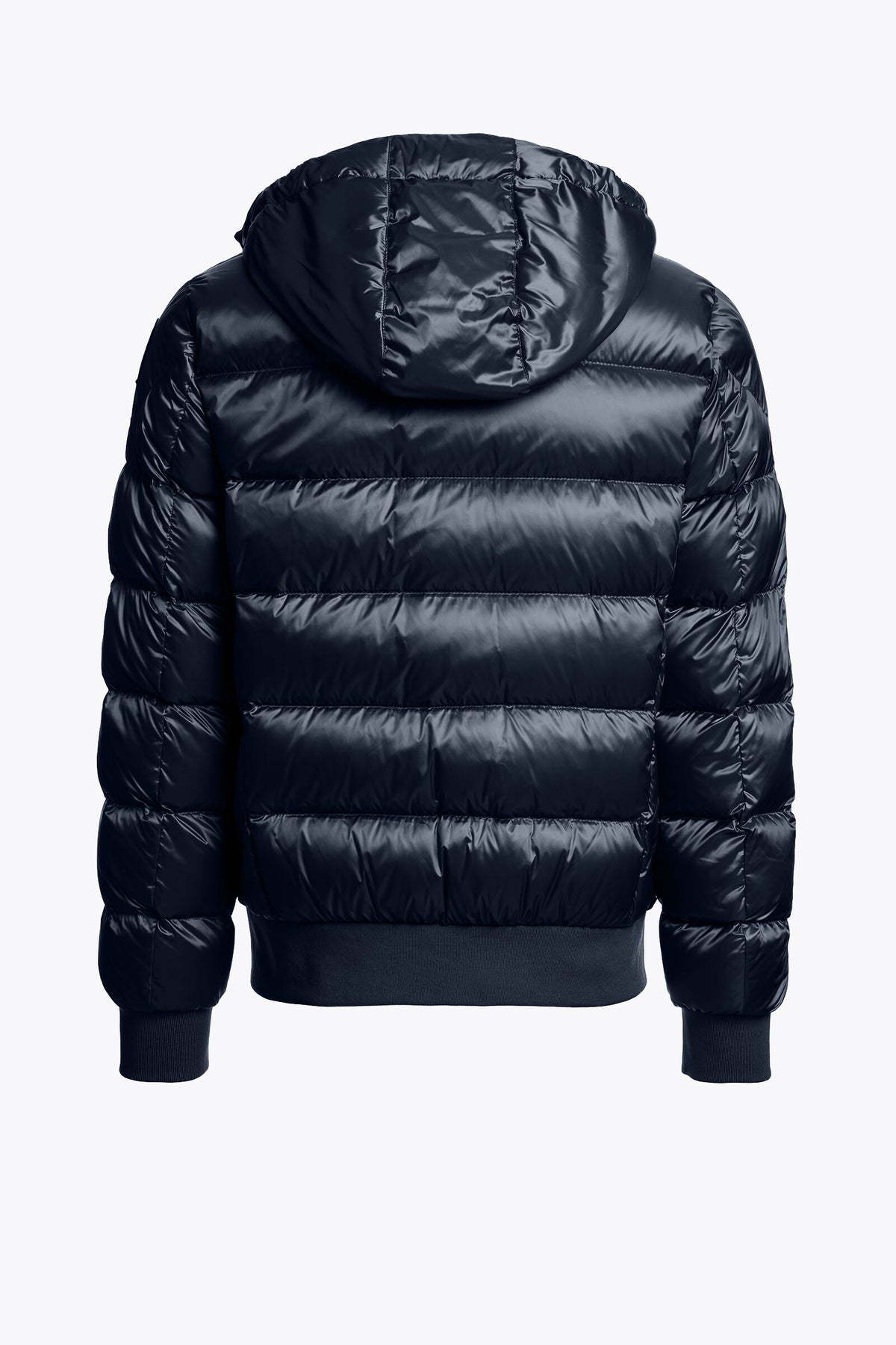 PHARRELL - HOODED BOMBER | BoUvy