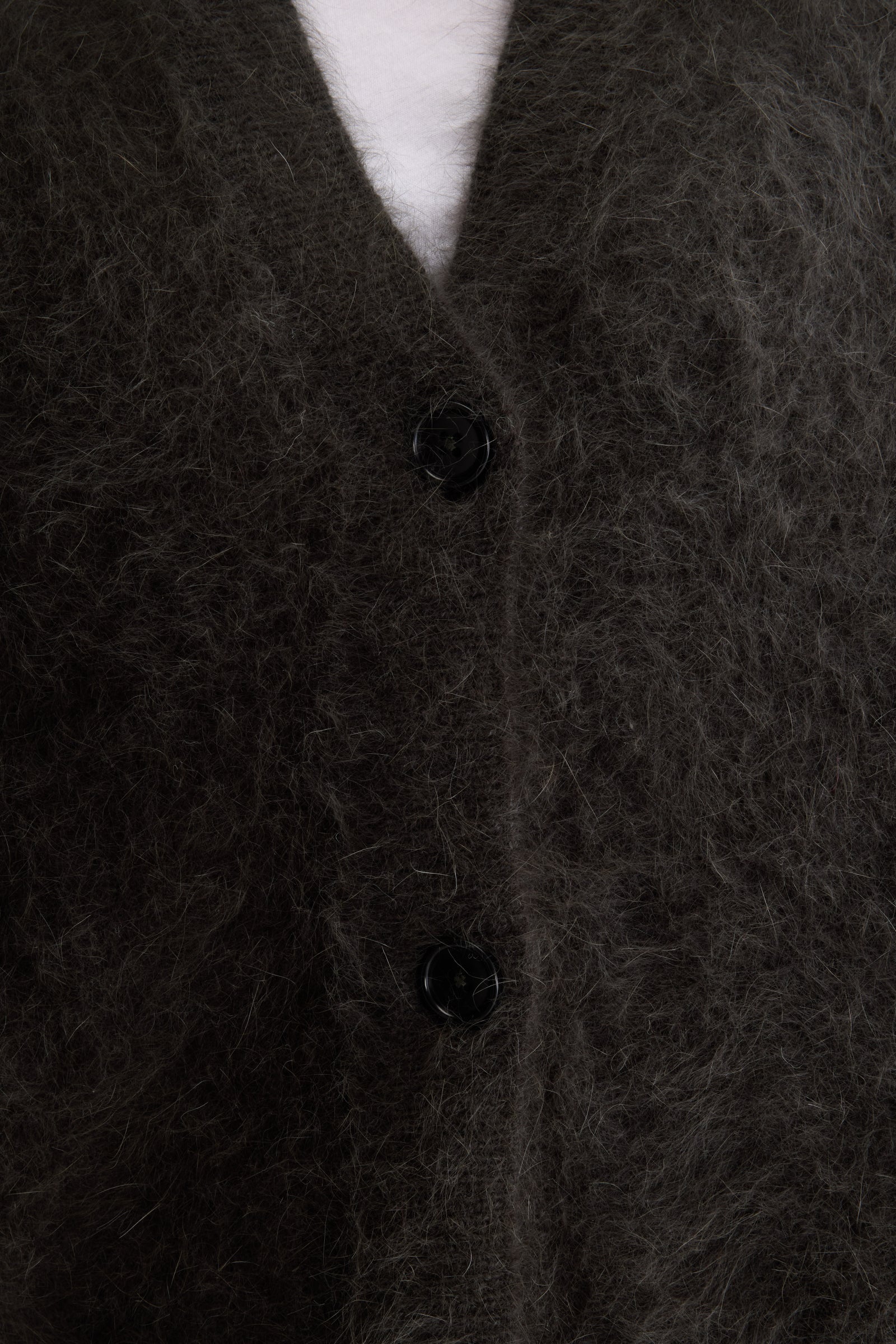 DATURA | BoUvy