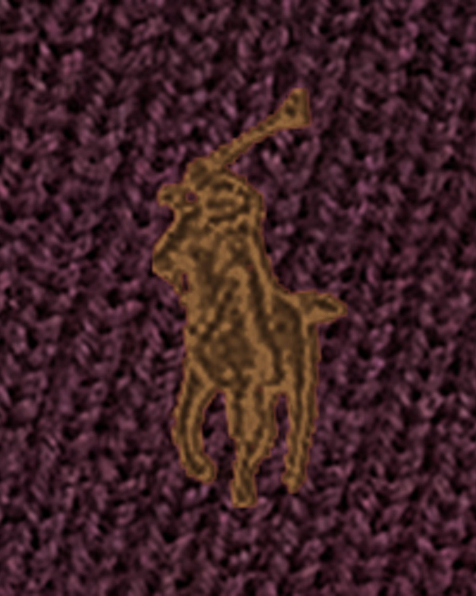 SIGNATURE PONY WOOL SCARF | BoUvy