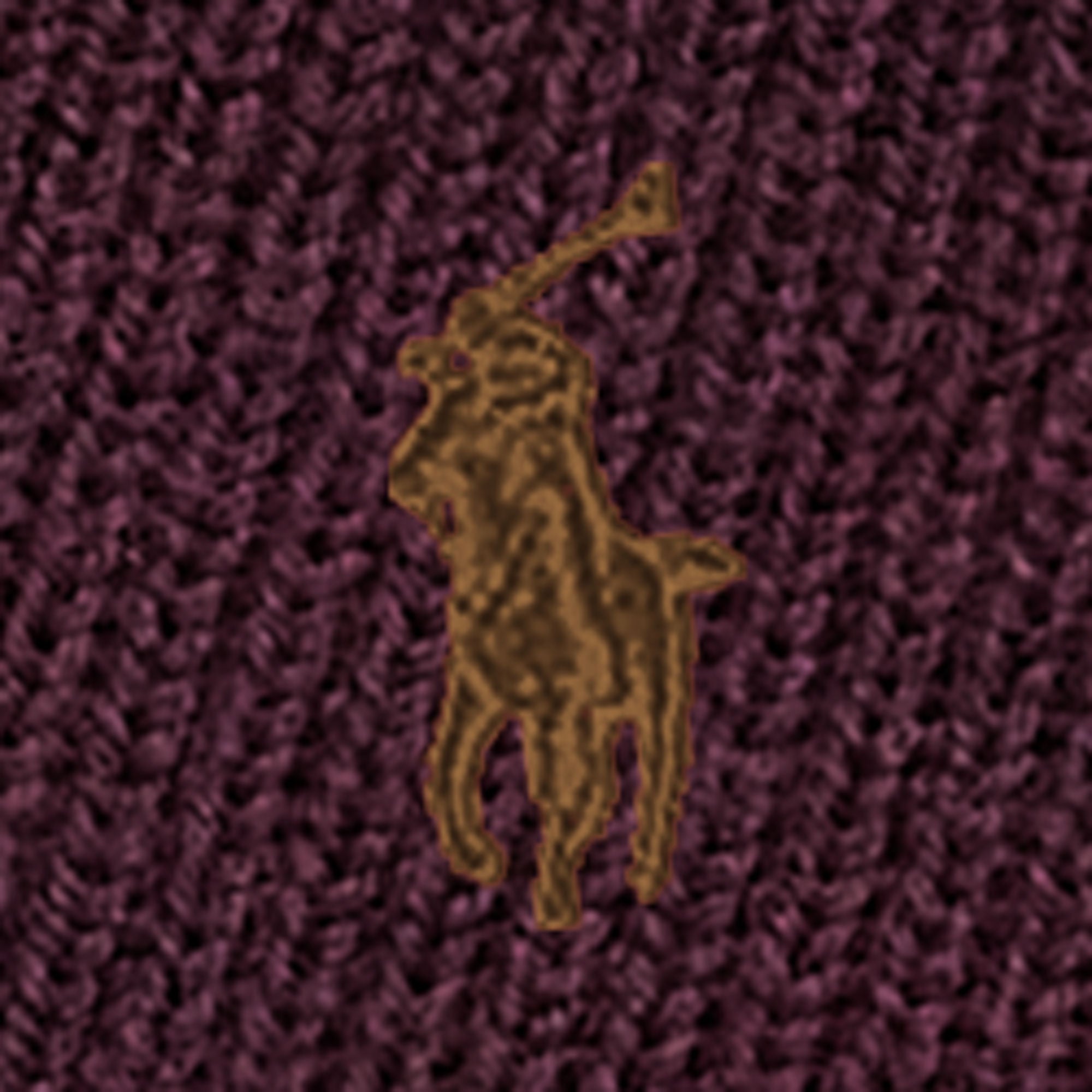 SIGNATURE PONY WOOL SCARF | BoUvy