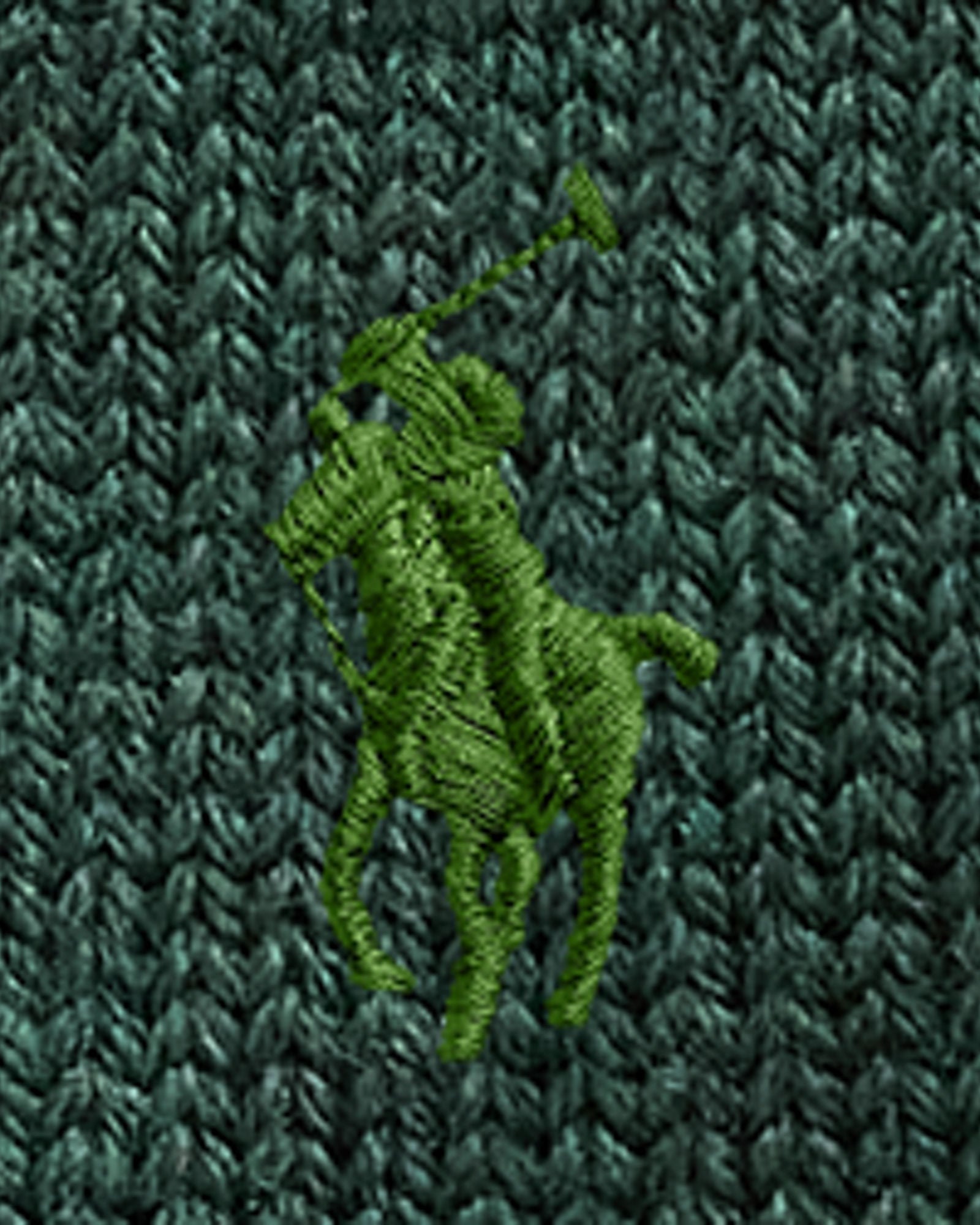 SIGNATURE PONY WOOL BEANIE | BoUvy