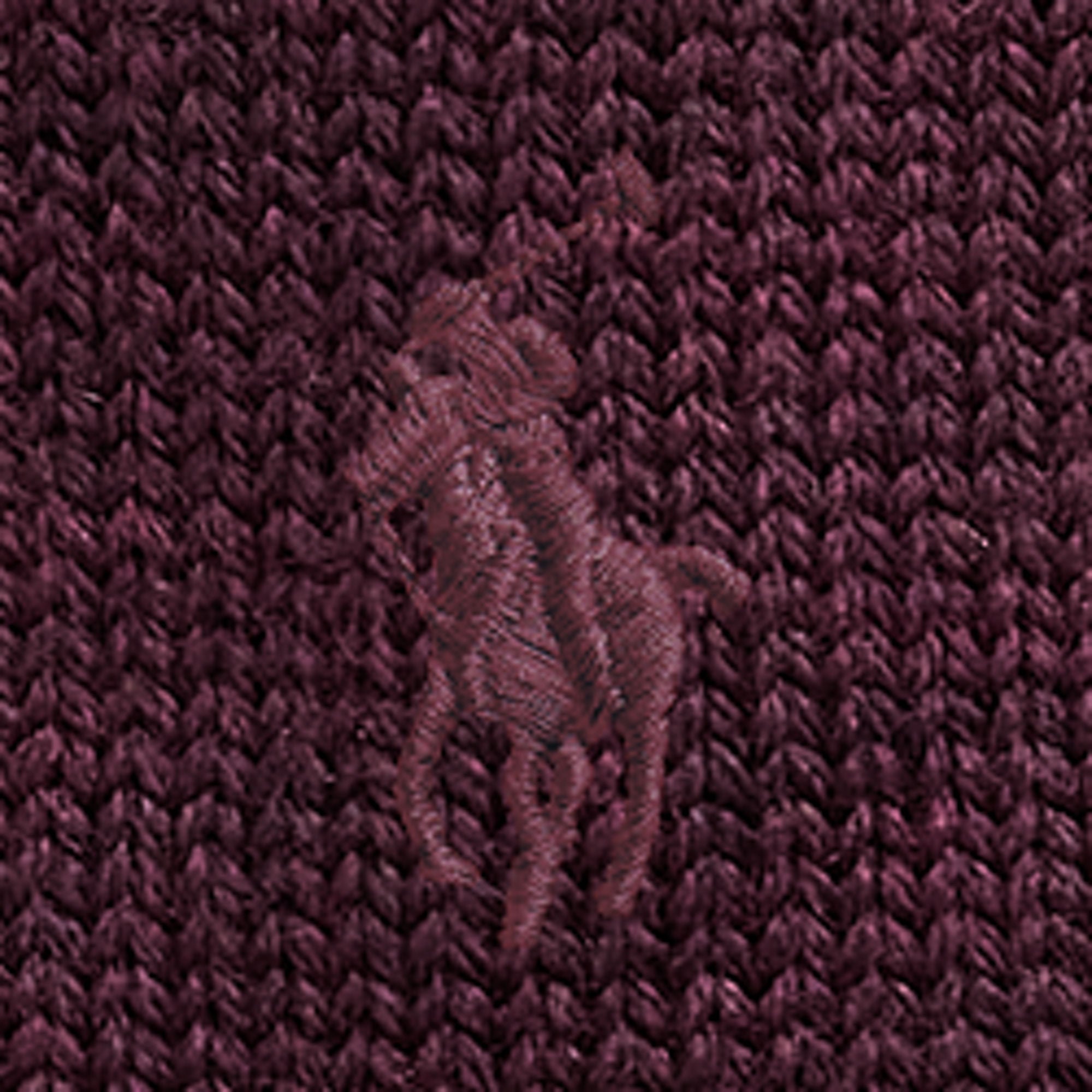 SIGNATURE PONY WOOL BEANIE | BoUvy