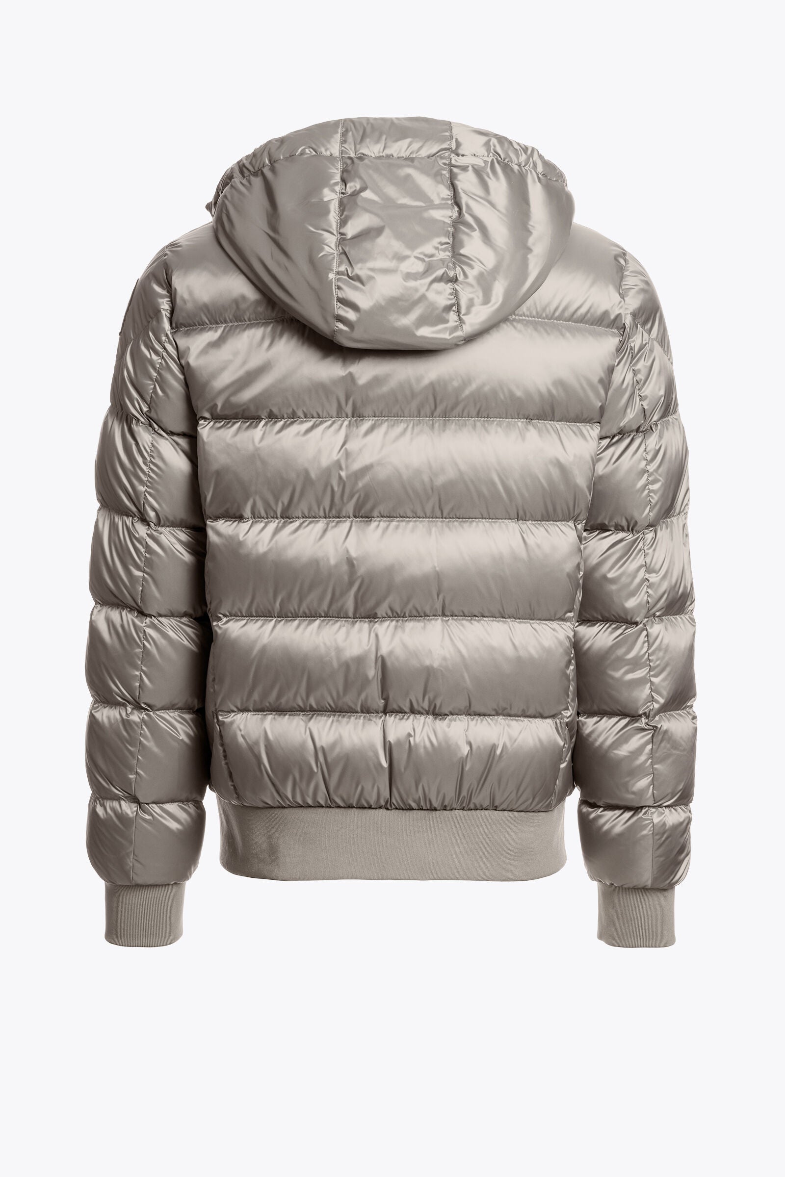 PHARRELL - HOODED BOMBER | BoUvy