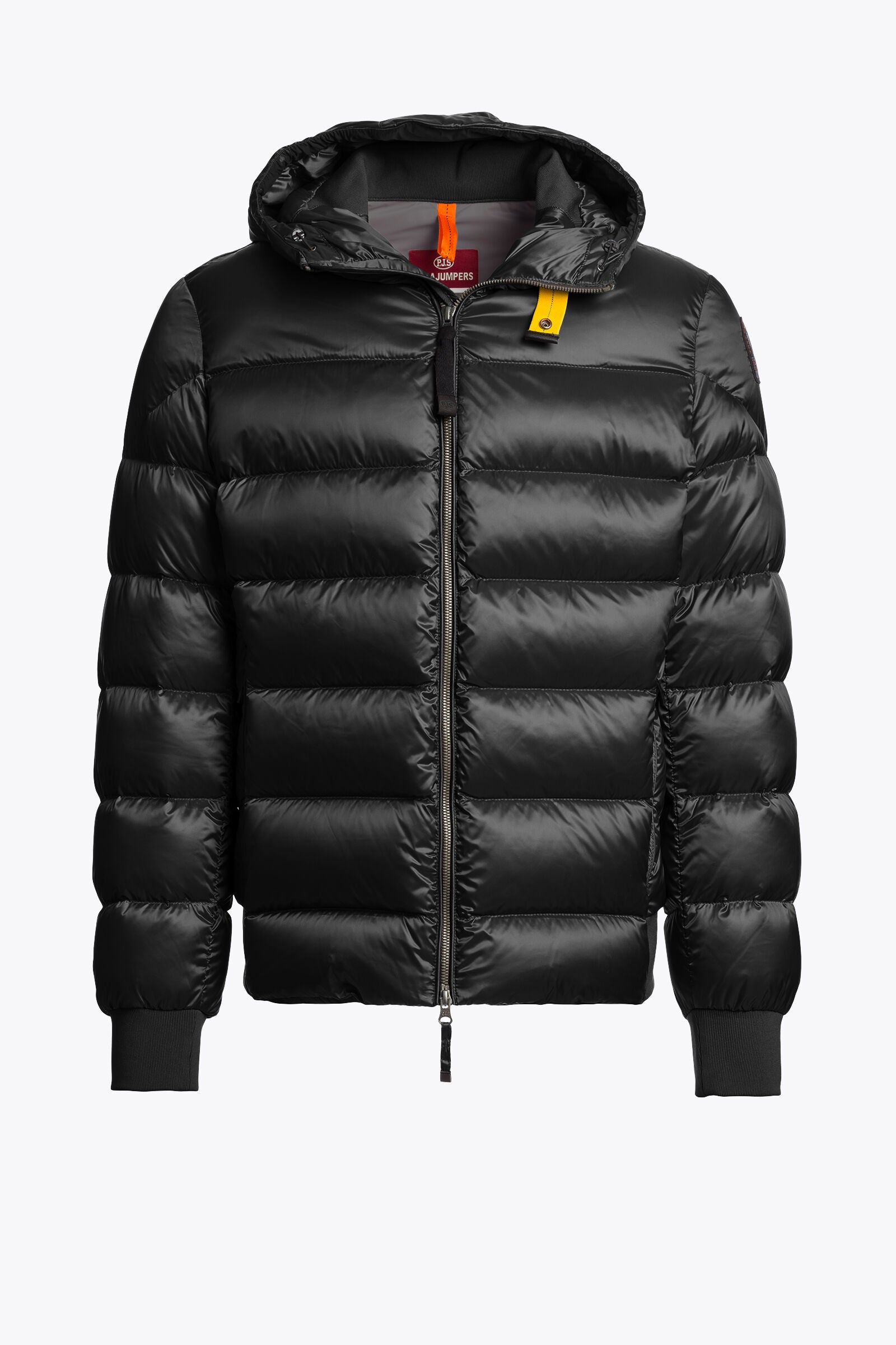 PHARRELL - HOODED BOMBER | BoUvy