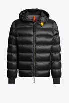 PHARRELL - HOODED BOMBER | BoUvy