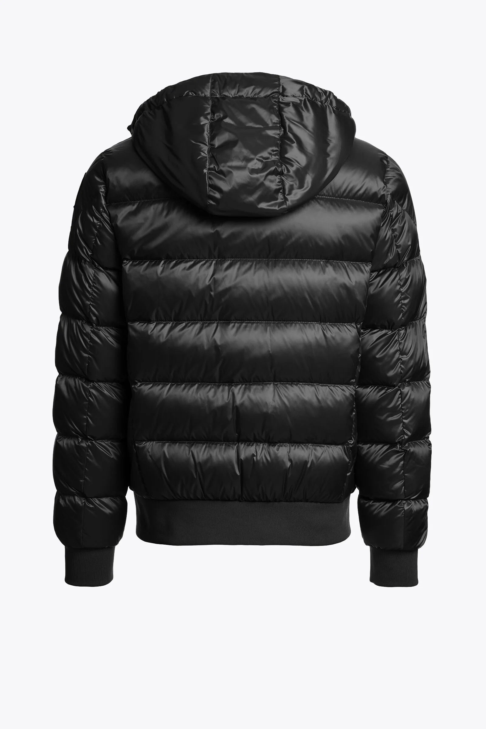 PHARRELL - HOODED BOMBER | BoUvy