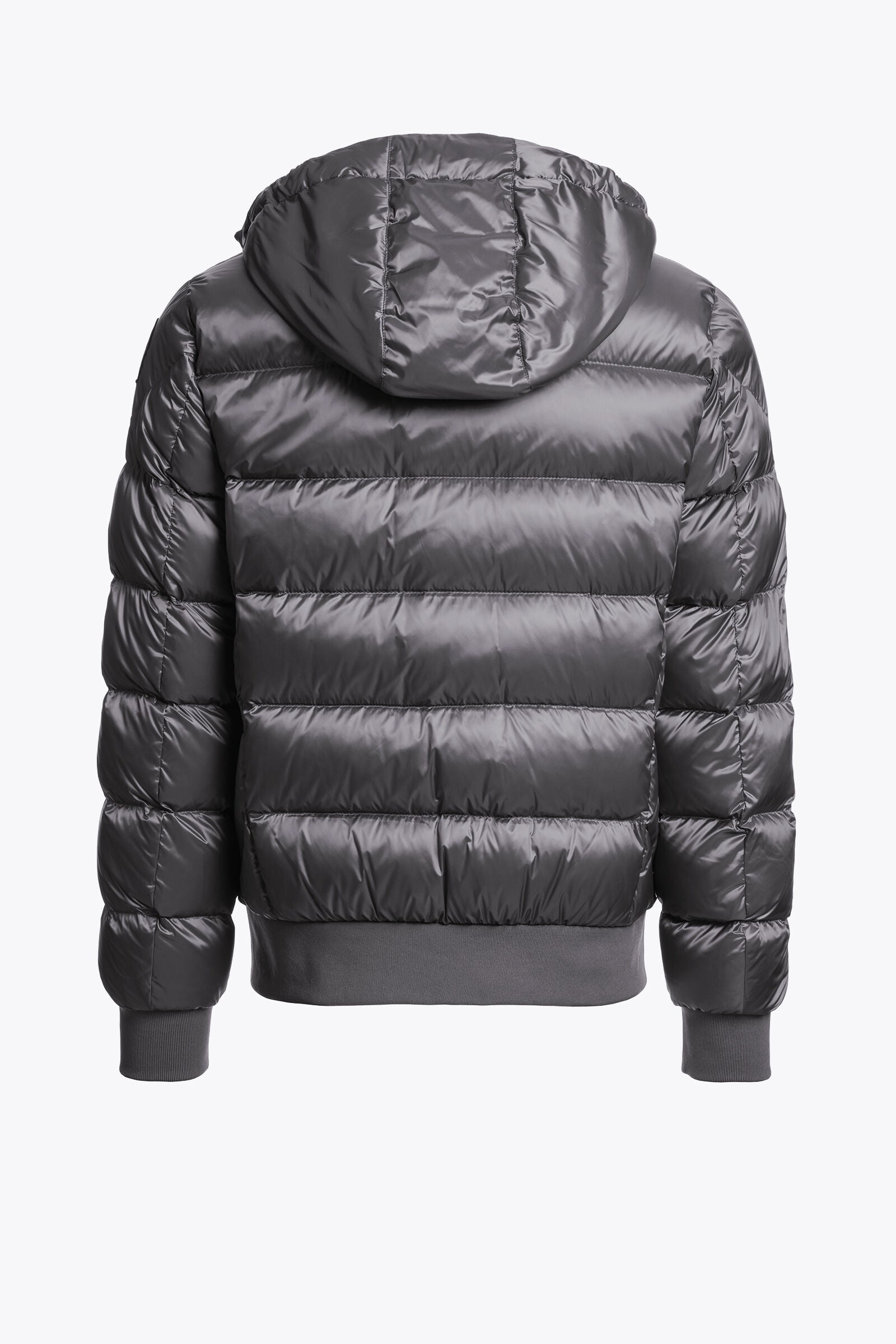 PHARRELL - HOODED BOMBER | BoUvy