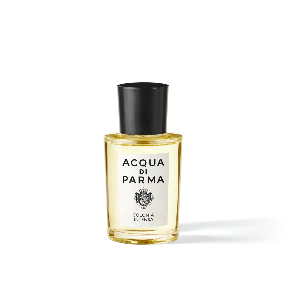 Colonia Intensa | BoUvy