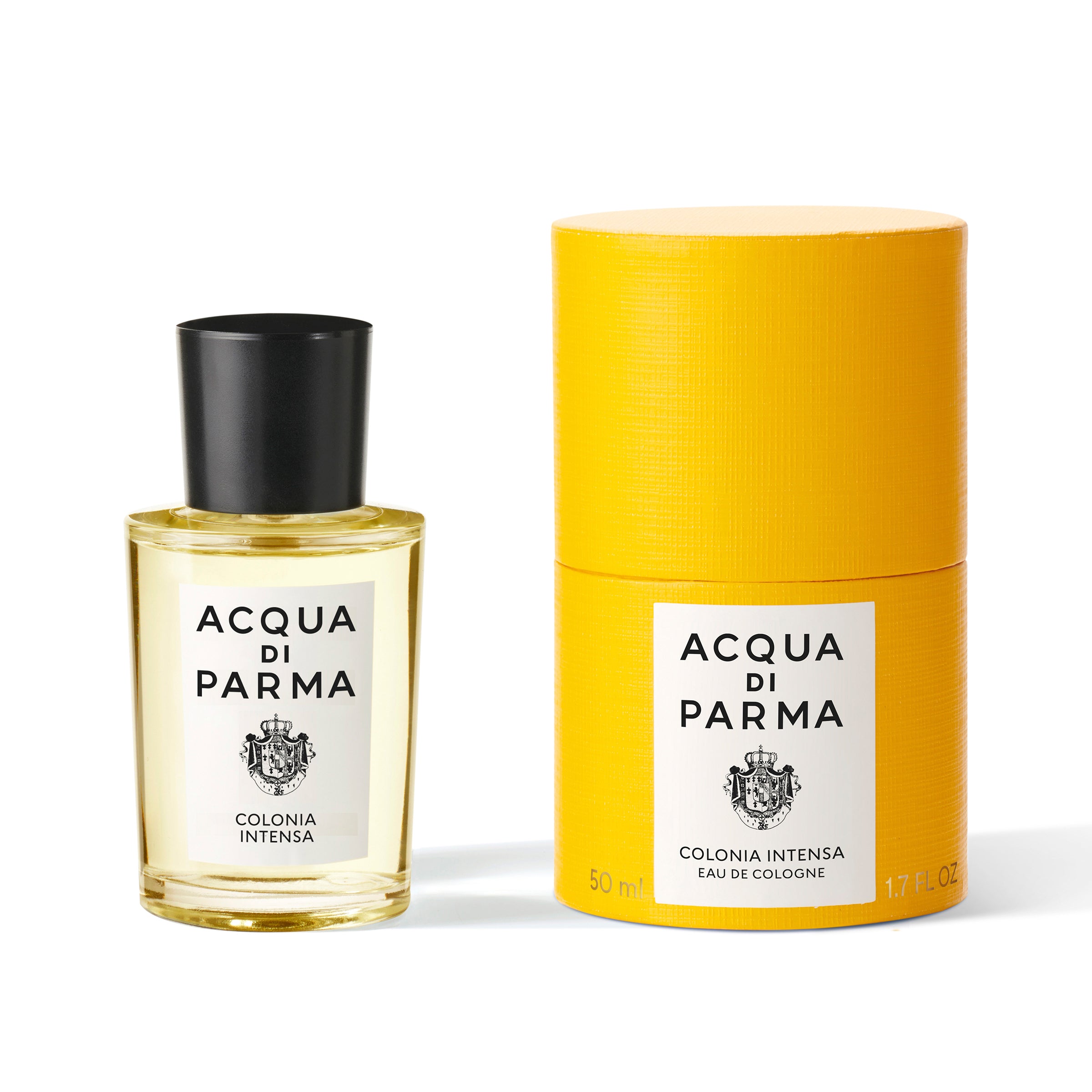 Colonia Intensa | BoUvy