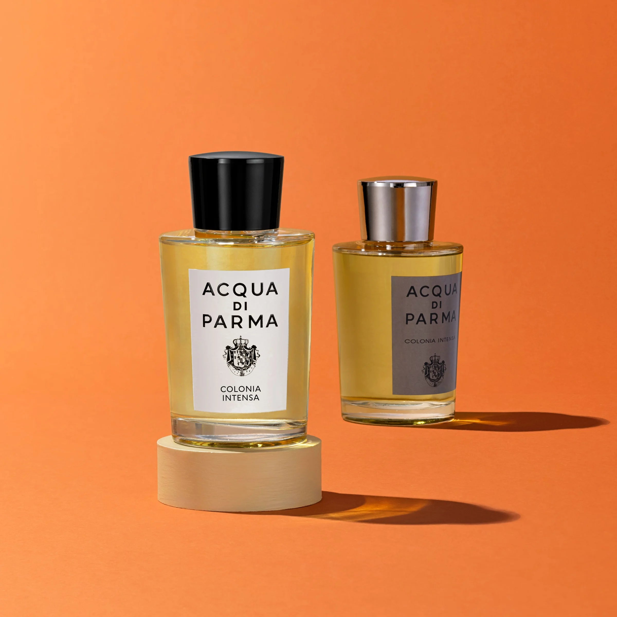 Colonia Intensa | BoUvy