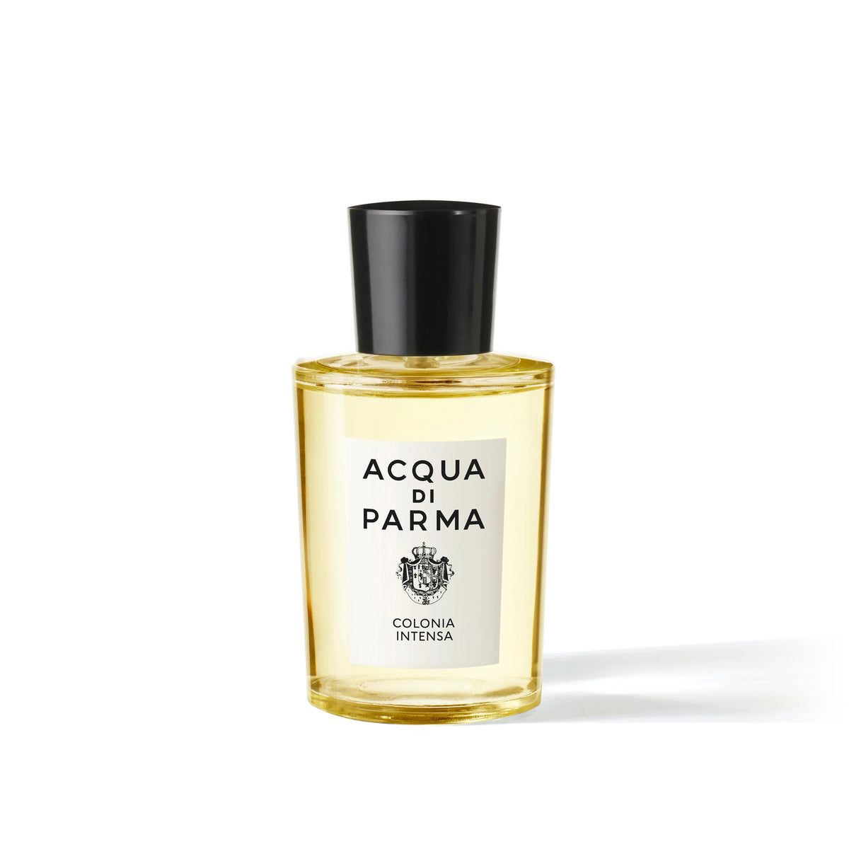 Colonia Intensa | BoUvy