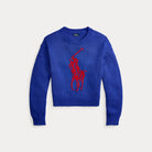 Big Pony Cotton Crewneck Sweater - BoUvy